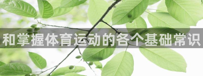 JJB竞技宝官网下载官方客服电话：和掌握体育运动的各