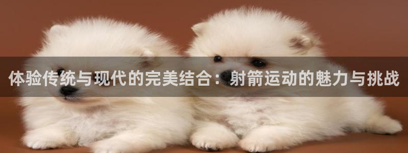 JJB竞技宝官网下载平台注册流程视频：体验传统与现代