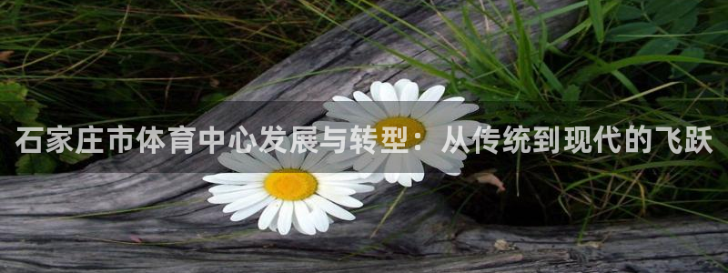 JJB竞技宝官网下载联系电话