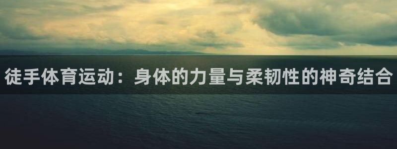 JJB竞技宝官方正版app集团E.ON：徒手体育运动：身体的