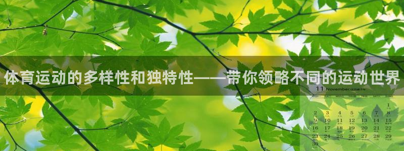 海南JJB竞技宝官网下载：体育运动的多样性和独特性——带你领