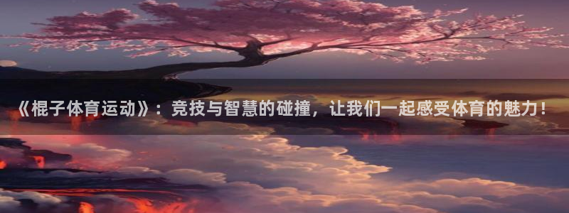 JJB竞技宝官方正版app集团简介：《棍子体育运动》