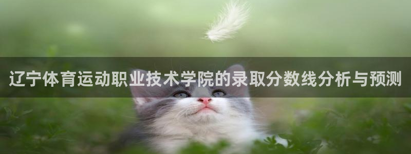 JJB竞技宝官网下载招商电话地址是多少：辽宁体育运动职业技术