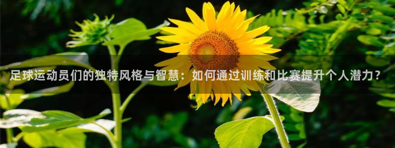 JJB竞技宝官网下载招商电话是多少：足球运动员们的独
