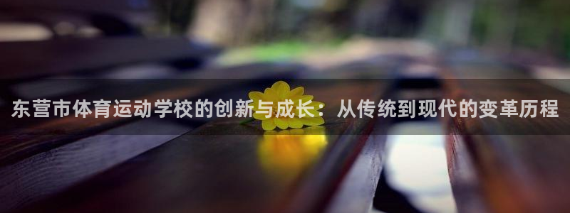 JJB竞技宝官网下载平台注册要钱吗是真的吗：东营市体