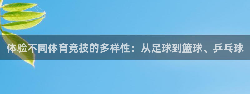 JJB竞技宝官网下载平台注册流程图：体验不同体育竞技