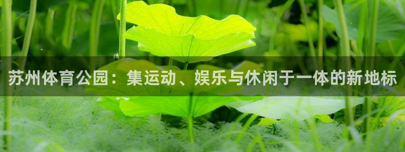 JJB竞技宝官方平台体育：苏州体育公园：集运动、娱乐与休闲于