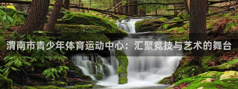 JJB竞技宝官网下载平台：渭南市青少年体育运动中心：