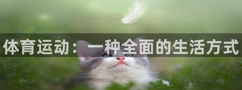 JJB竞技宝官方正版app新能源：体育运动：一种全面