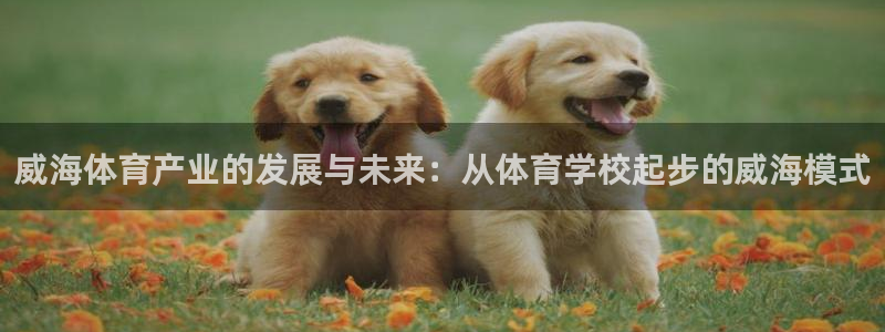 JJB竞技宝官网下载平台注册流程视频：威海体育产业的发展与未