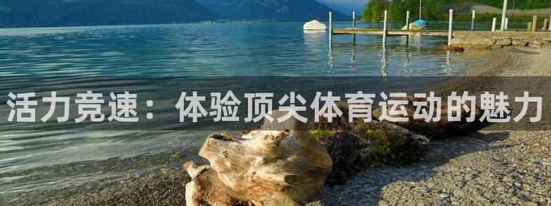 JJB竞技宝官方正版app娱乐：活力竞速：体验顶尖体育运动的