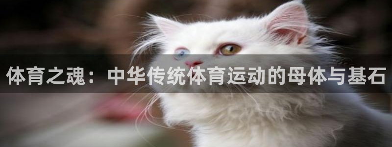 竞技宝测速站的网址：体育之魂：中华传统体育运动的母体与基石
