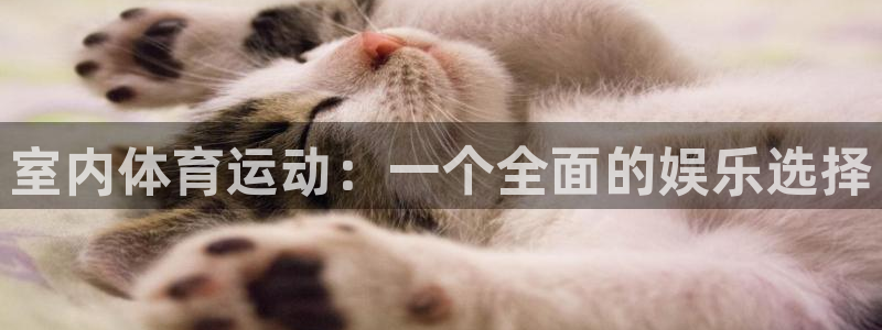 竞技宝咋了：室内体育运动：一个全面的