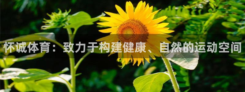  竞技宝平台怎么样可靠吗：怀诚体育：致力于构建健康、自然的运动