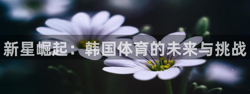  竞技宝不能提现：新星崛起：韩国体育的未来与挑战