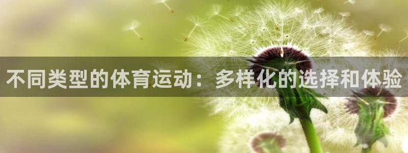  竞技宝app下载安装最新版：不同类型的体育运动：多样化的选择