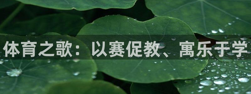  竞技宝手机端下载不了：体育之歌：以赛促教、寓乐于学