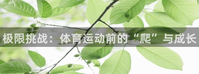 竞技宝app赌博：极限挑战：体育运动前的“爬”与成长