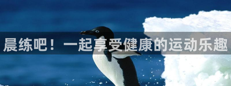 竞技宝是什么关系搜索哈哈电竞：晨练吧！一起享受健康的运动乐趣