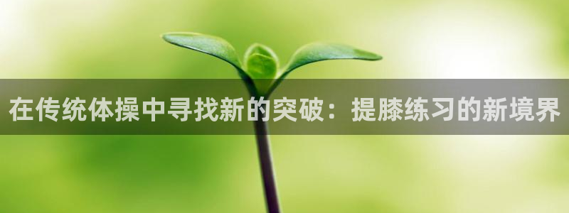 竞技宝不能用了：在传统体操中寻找新的