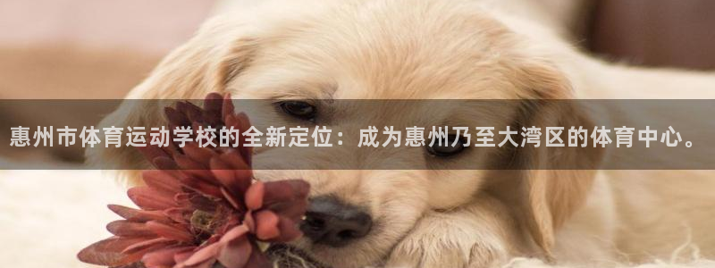 竞技宝提现多久到账：惠州市体育运动学校的全新定位：成为惠州乃