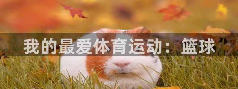 竞技宝不能充钱上hahabet：我的