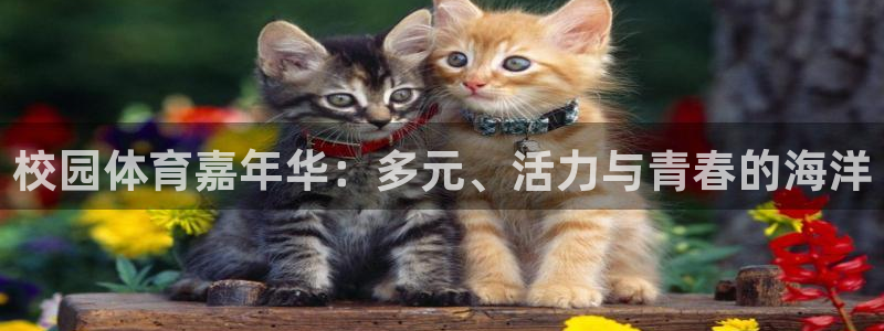 竞技宝客服电话多少号：校园体育嘉年华