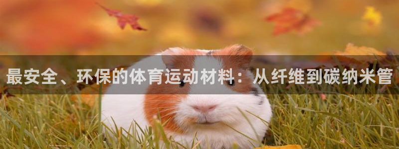 JJB竞技宝官方正版app集团官网首页网址