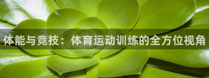 JJB竞技宝官方正版app娱乐网站