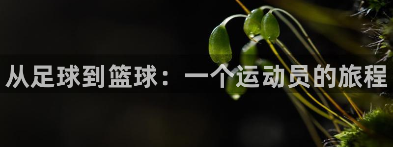 JJB竞技宝官方正版app娱乐40996