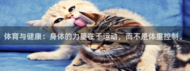 JJB竞技宝官方集团官网