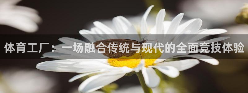 JJB竞技宝官方平台体育：体育工厂：一场融合传统与现代的全面