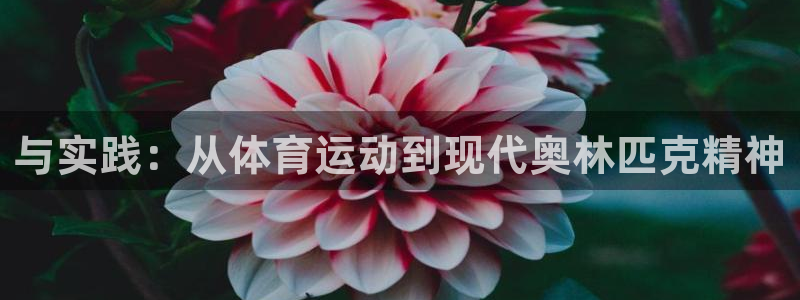 JJB竞技宝官方正版app集团官网网址：与实践：从体育运动到