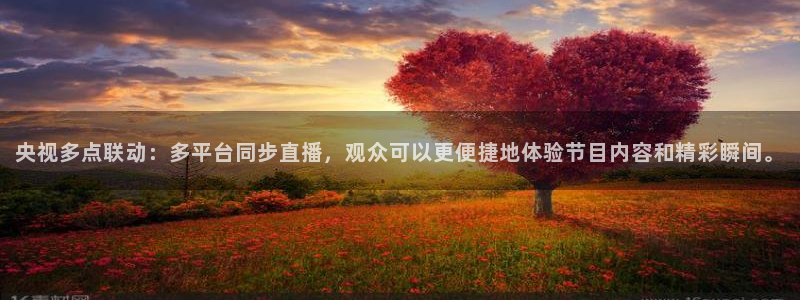 球神直播首页：央视多点联动：多平台同步直播，观众可以更便捷地体验节目内容和精彩瞬间。