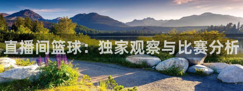 球神 直播：直播间篮球：独家观察与比赛分析