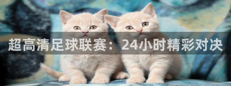 球神直播足球直播在线观看：超高清足球联赛：24小时精彩对决